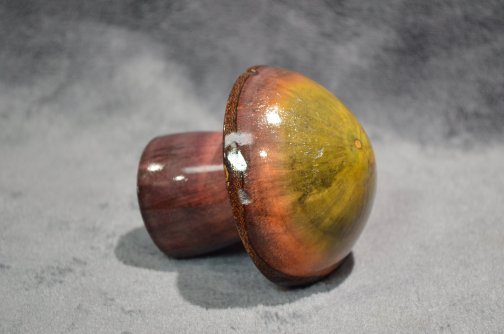 Colorful wood turned Elm Mushroom